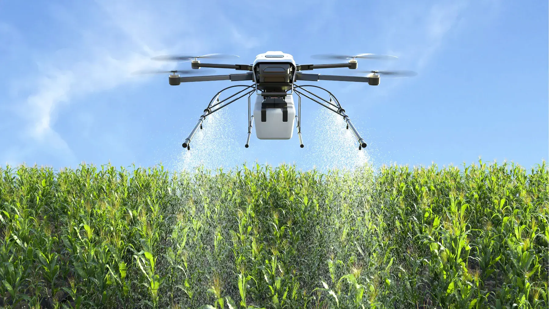 Agriculture and Agro-Processing